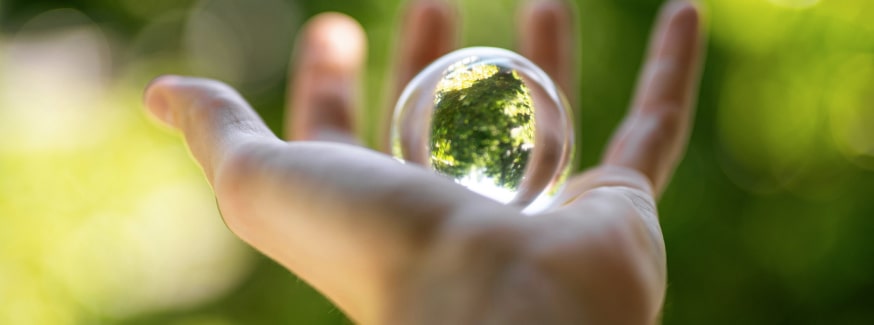 driving business for sustainability