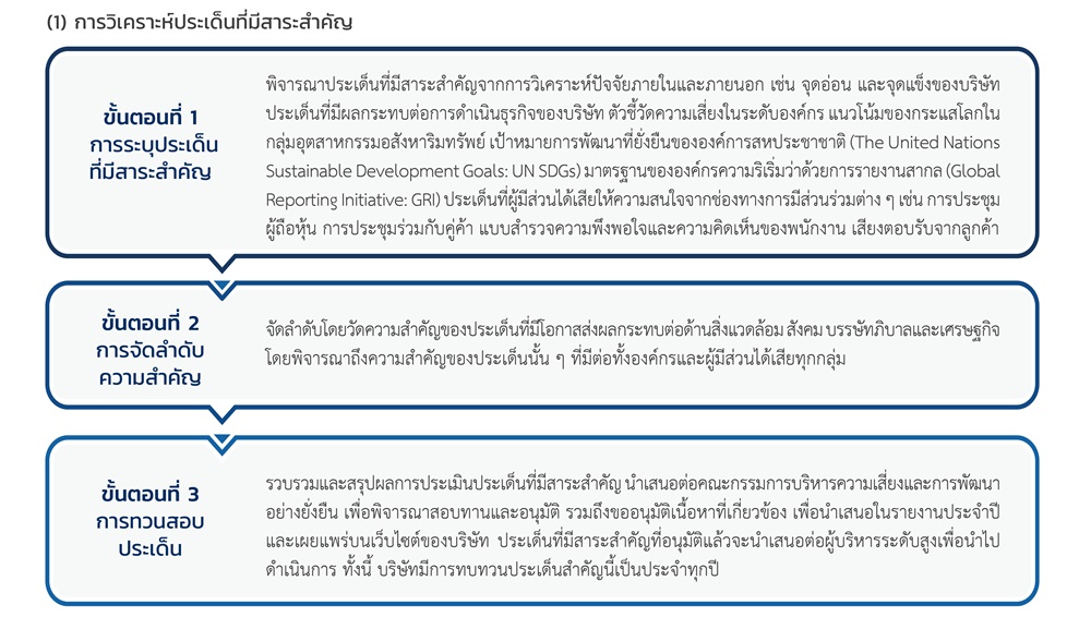 Significant Sustainability Issues