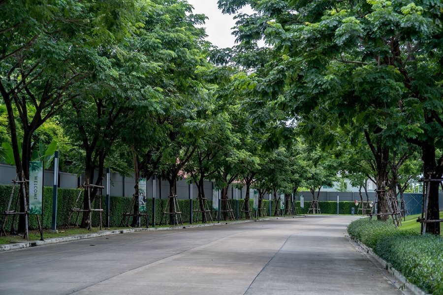 แลนด์ แอนด์ เฮ้าส์ แนะนำแบบบ้านซีรีส์ใหม่ Santir ที่โครงการมัณฑนา ราชพฤกษ์-นครอินทร์